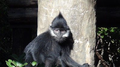 めざせフランソワルトンマスター!?の写真